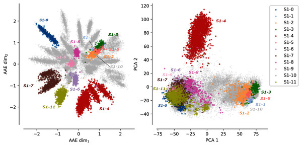 Projections of the MSA sequences of the SulfAtlas family.