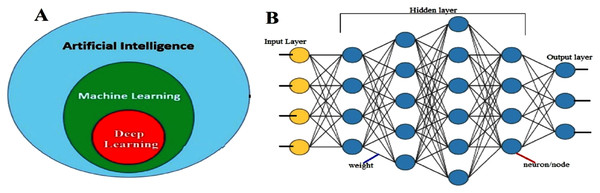 (A) Subsets of artificial intelligence; (B) deep neural network structure.