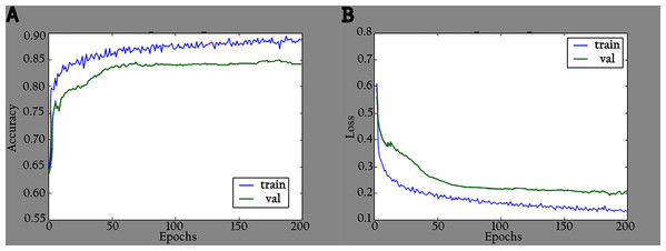 Accuracy and loss graphs for KL-MOB on training and validation of the original images: (A) accuracy and (B) loss.