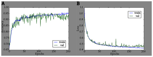 Accuracy and loss graphs for KL-MOB on training and validation of the enhanced images: (A) accuracy and (B) loss.