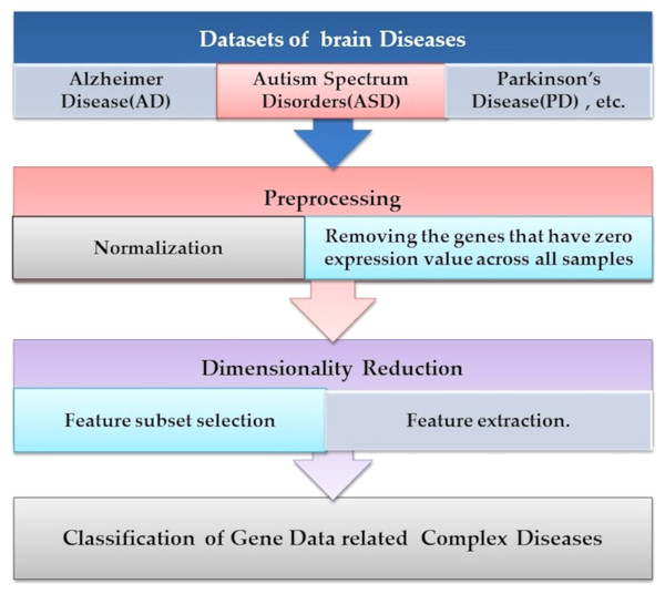 The common ML procedure for the complex brain disease diagnosis.