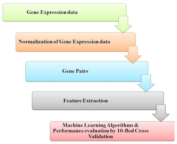 The identification of genetic interactions system.