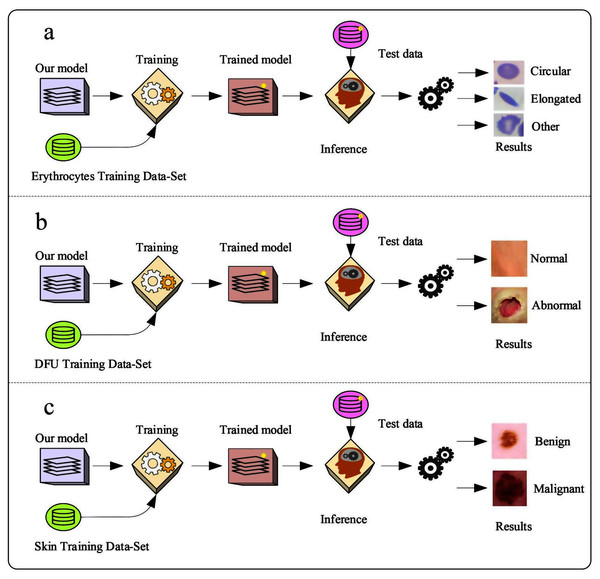 The workflow of the proposed model with three datasets.