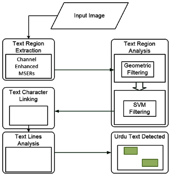 The workflow of the proposed model.