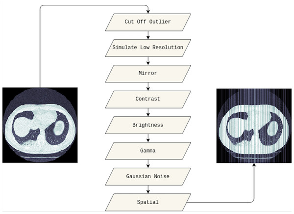 The visualization of the data augmentation techniques.