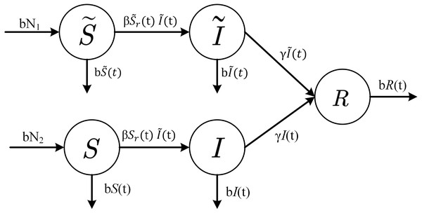  State-transition relationships of nodes in WSNs.