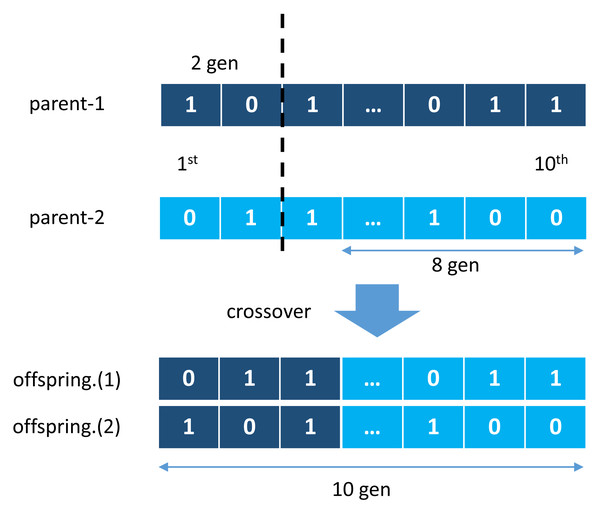 Crossover mechanism of genetic algorithm.