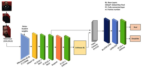 The YOLO-CRNNs deepfake detection system architecture.