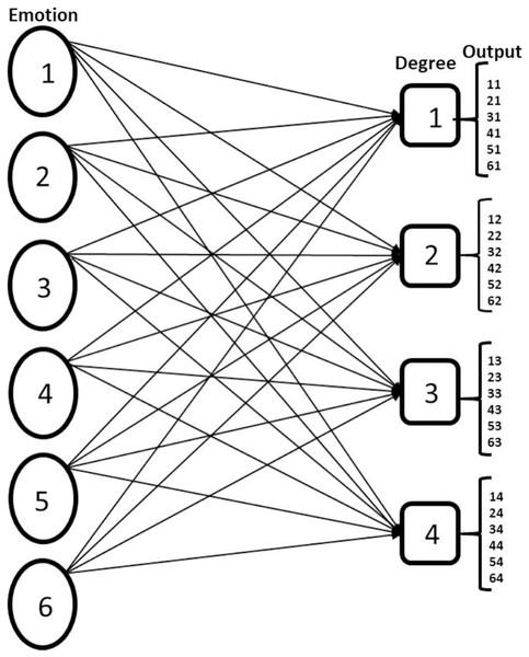 Showing multilabel problem formulation of FER.