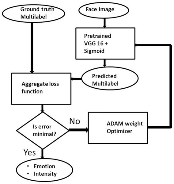 The description of Multilabel CNN model for facial expression recognition and intensity estimation.