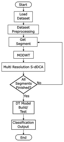 Proposed multiresolution segmented dDCA model.
