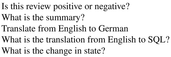 Examples of fixed questions for decaNLP.