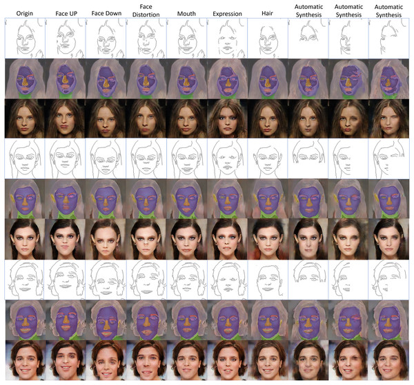 Examples of facial image augmentation results using 50 training images, with parts of input edges modified for introducing diversity so as to augment each training image with desirable facial features.