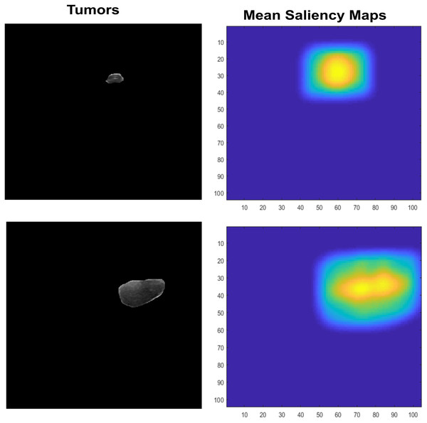 The input lesion images (left) and mean saliency maps (right).