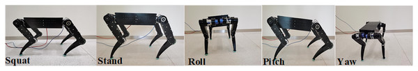 Various postures of the prototype in standing.