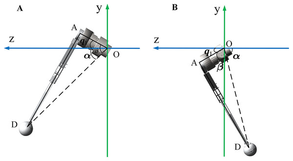 Geometric relations of a single leg in the YOZ plane.