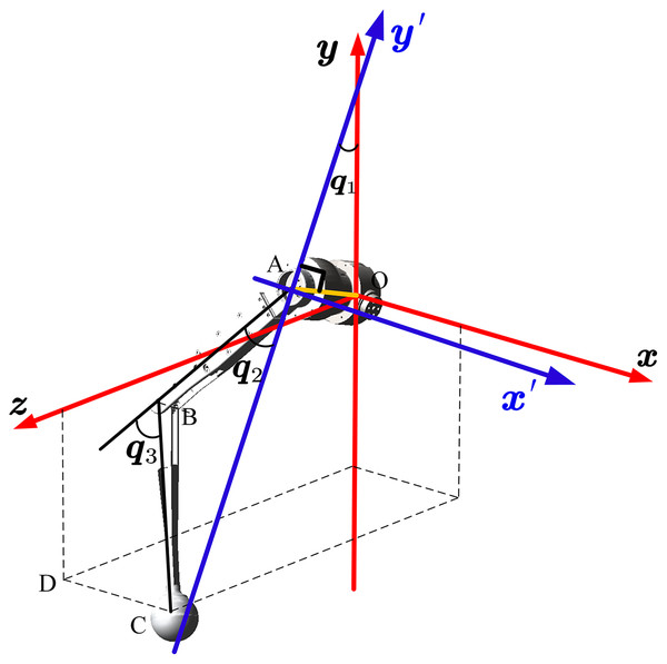 The illustrated conversion between the old and new frame of the leg.