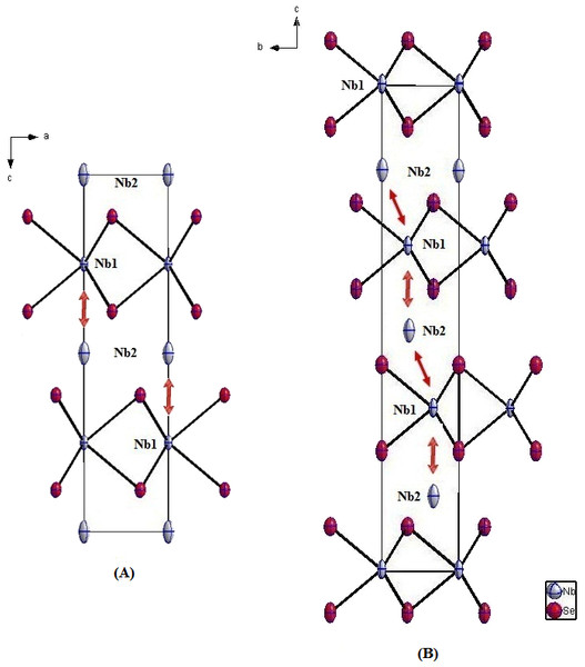 Projection of the crystal structures of (A) 2H-Nb1.031Se2; (B) 3R-Nb1.085Se2 along the [100] direction, showing the Nblayer—Nbextra—Nblayer repulsions (red arrows).