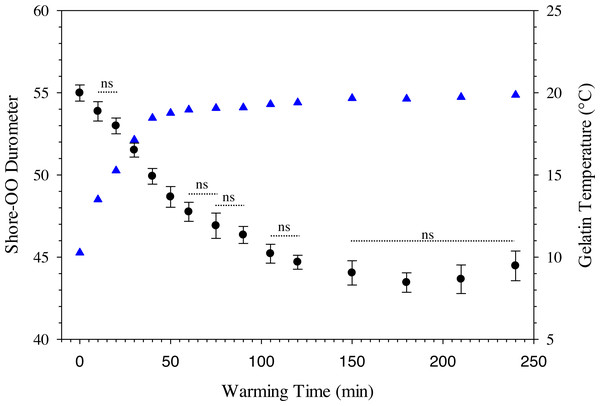 Change in Shore-OO durometer and gelatin temperature (°C) caused by periods of warming at room temperature (22.1 °C).