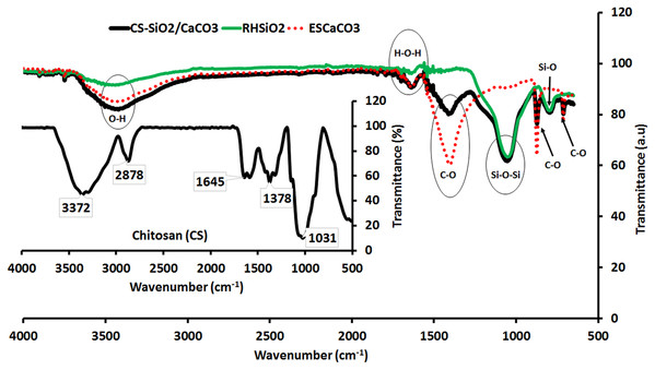 The FTIR spectra of ESCaCO3, RHSiO2, CS–SiO2/CaCO3 nanocomposite and CS (Insert).