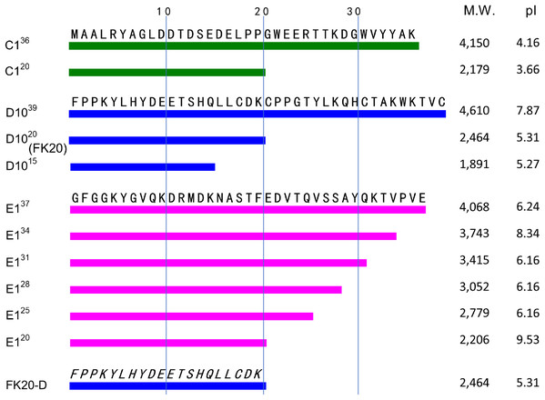 Amino acid sequences and schematic diagrams of human genome-derived IDPs and their deletion mutants.