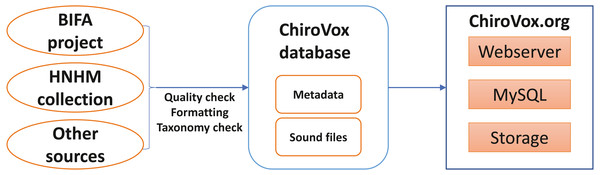 Schematic figure of the ChiroVox system.