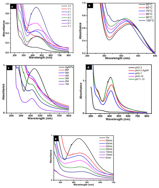 (A) UV-visible spectra of AgNPs/ Caralluma tuberculata having different AgNO3/plant ratios. (B) Effect of temperature on the stability of AgNPs. (C) Effect of salt (NaCl) on the stability of AgNPs. (D) Effect of pH on the stability of AgNPs.