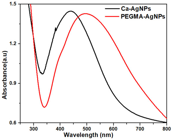 UV-visible spectra of Ca-AgNPs and PEGMA-AgNPs.