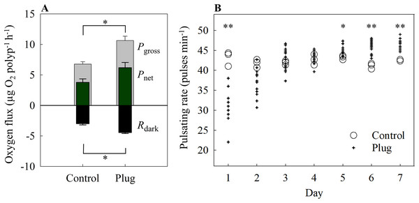 (A) Oxygen fluxes and (B) pulsating rates of the plug mesh method.