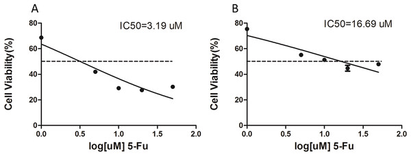 The IC50 value for 5-fluorouracil (5-Fu) resistant gastric cancer cells.