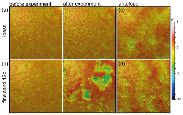Meshed axiomatic 3D models of enamel surfaces (160 x 160 µm) of the experimentally sandblasted teeth of the same area of tooth specimens before (left) and after (right) alteration.