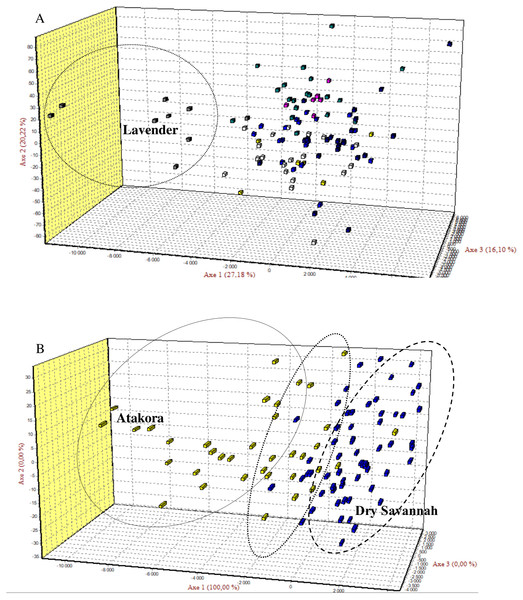 The Factorial Correspondence Analysis (FCA) results.