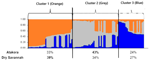 Clustering diagram based on STRUCTURE analysis of the two agroecological zones (Atakora, Dry Savannah for K = 3).