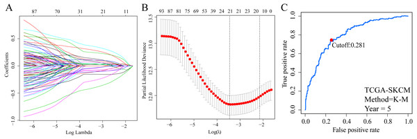 Screening of EMT-related gene pairs (ERGPs) used to construct prognostic signatures and determination of the best cut-off value of risk score.