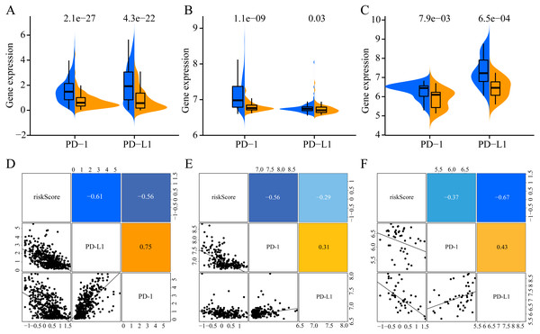 Association of ERGPs characteristics with immune checkpoint genes.