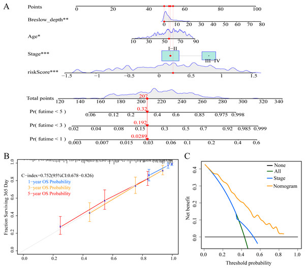 Construction and evaluation of nomogram.