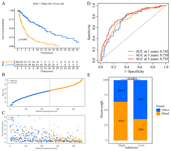 Establishment of overall survival (OS) prognostic model based on ERGPs.