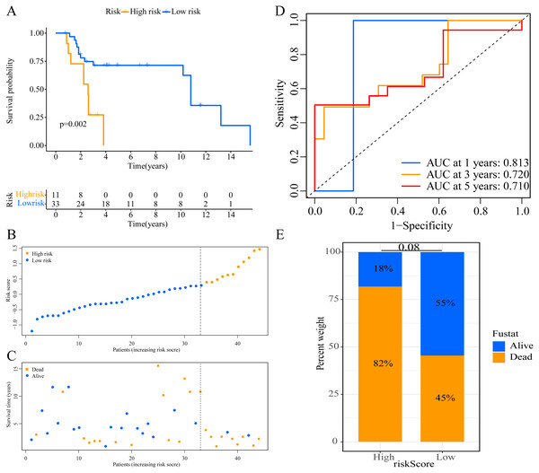 External validation of the prognostic model in the GSE19234 cohort.