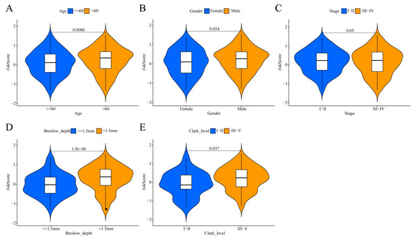 Association between the ERGPs signature risk score and clinical parameters in the TCGA cohort.