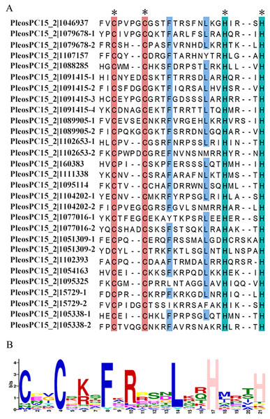 Multiple alignment and conserved amino acids analysis of the C2H2 domains in PoC2H2-ZFPs.