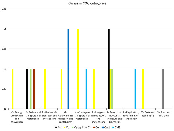 Distribution of 19 genes under positive selection in COG categories.