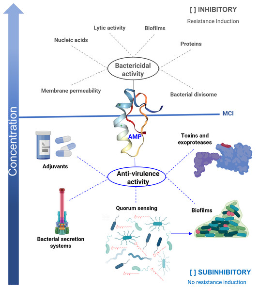 Antimicrobial Peptides Properties Beyond Growth Inhibition And ...