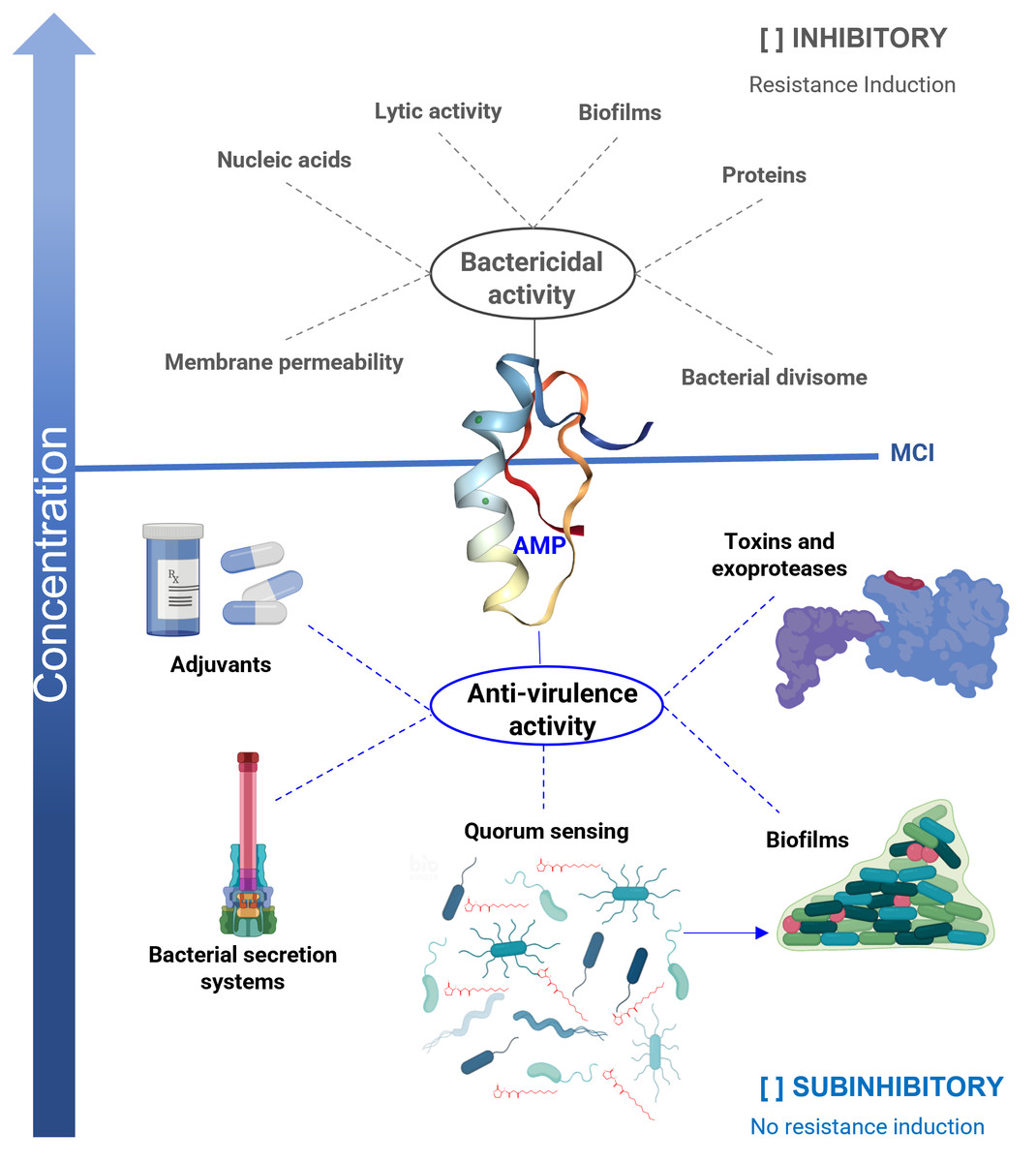 Overview of antibacterial, antitoxin, antiviral, and antifungal