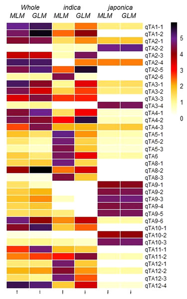 Heatmap of 37 GWA-QTLs for –log10(P) of peak SNPs in different association models.