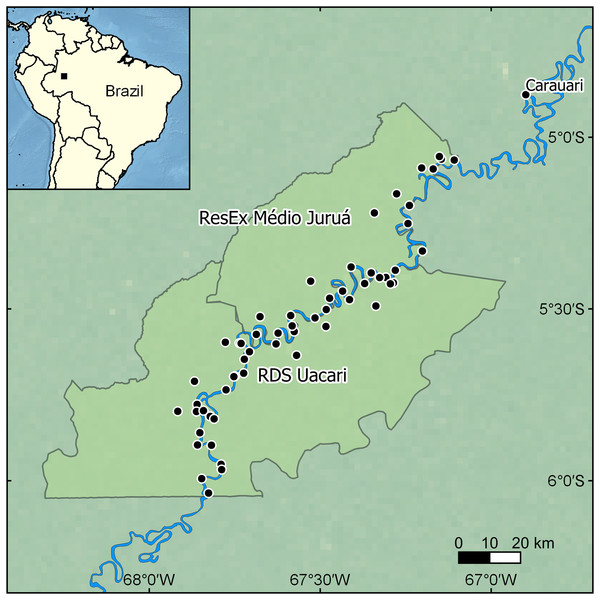 Map showing the location of the focal study landscape in the Médio Juruá region of western Brazilian Amazonia.