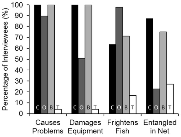 Percent of interviewees (n = 49) who indicated that each of the four species causes problems in general, damage fishing equipment, frightens away fish, or becomes entangled in nets.