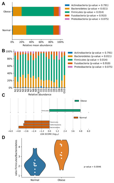 Relative abundance of representative taxa in dog gut microbiota at the phylum level.