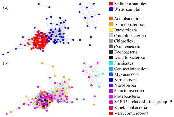 Co-occurrence networks built from abundant bacterial OTUs in the water and sediment of artificial reefs.