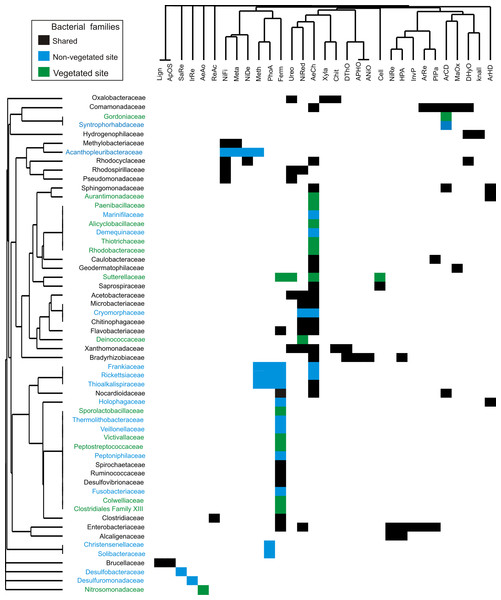 Bacterial families from vegetated and non-vegetated sites.