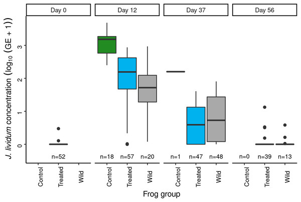 In the Dusy Basin J. lividum augmentation experiment, temporal patterns of J. lividum concentrations on subadult R. sierrae in the treated, control, and wild groups.